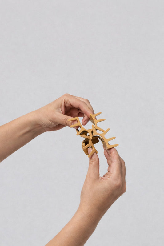 The Flexible Claw Clip